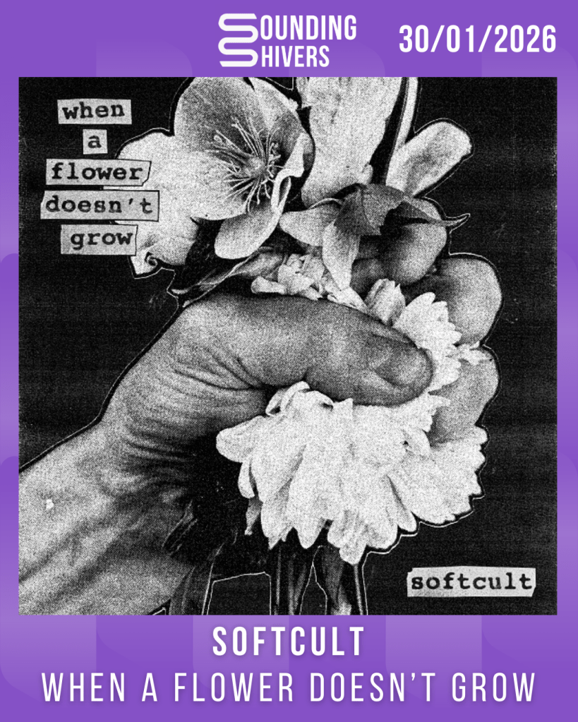 #Album : Softcult – When A Flower Doesn’t Grow (30/01/2026)