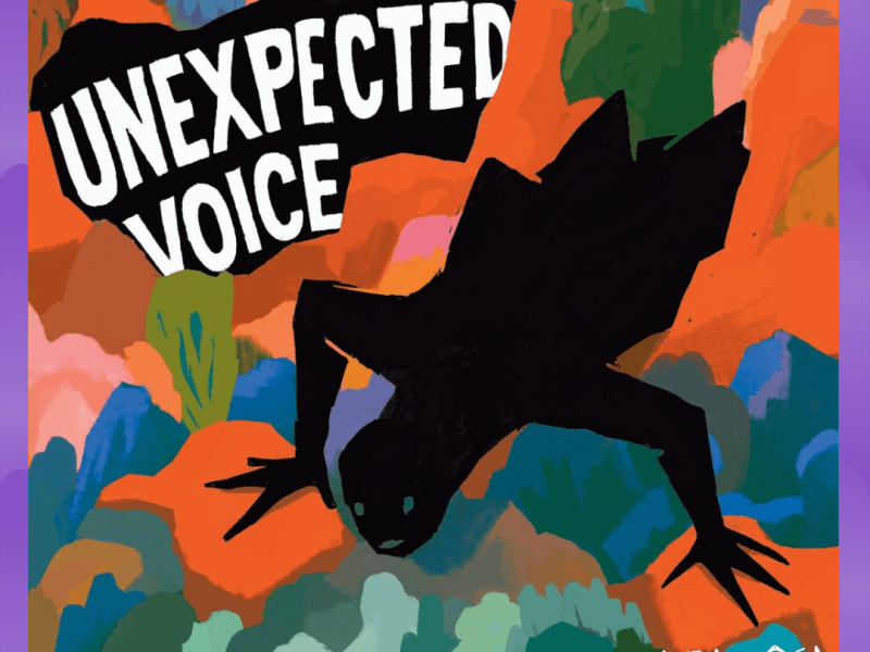 #Album : Mafia Sofa – Unexpected Voice (13/02/2026)