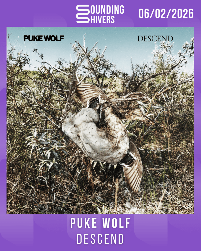 #Album : Puke Wolf – Descend (06/02/2026)