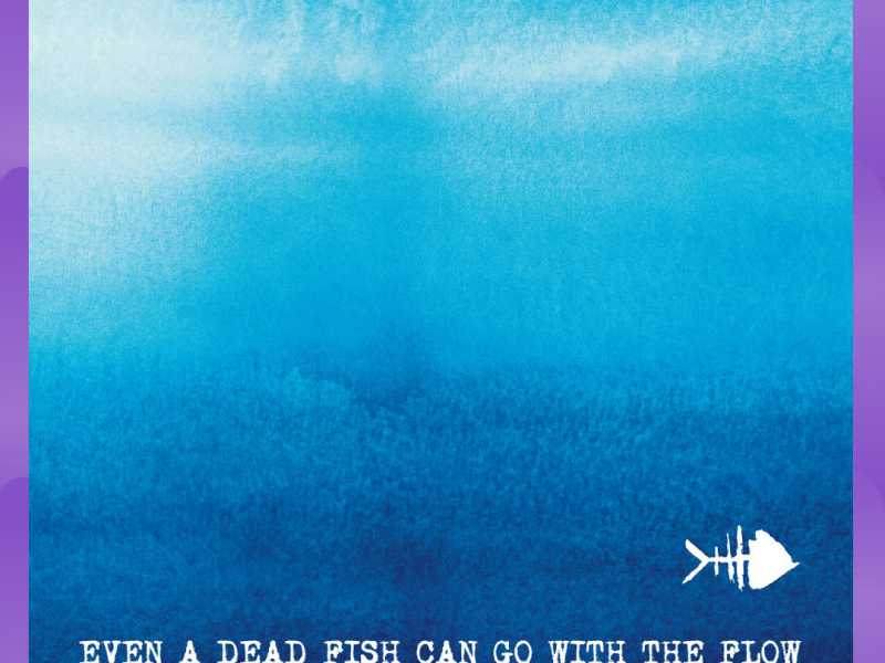 #Album : Flow Macio – EVEN A DEAD FISH CAN GO WITH THE FLOW (18/04/2026)