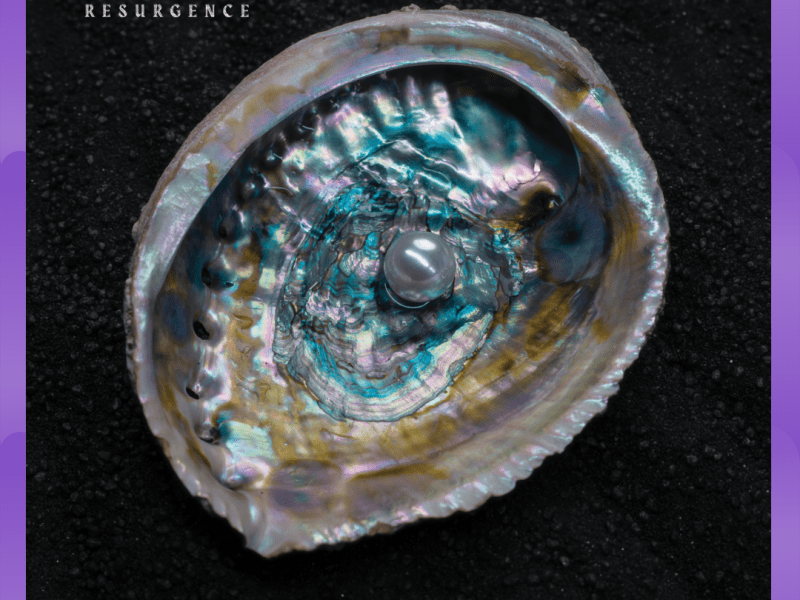 #Album : Future Palace – Resurgence (31/07/2026)